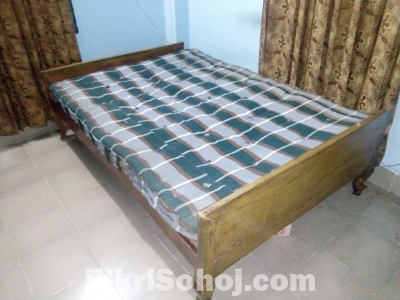 Single shill korai wood bed